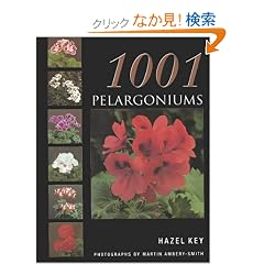 1001 Pelargoniums