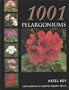1001 Pelargoniums
