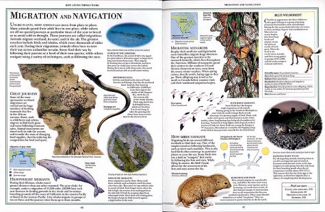 DK Nature Encyclopedia [Hardcover]