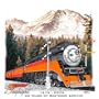 SP Daylight 30th Anniversary T Shirt, Ash/Adult XL
