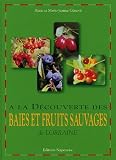 A la d�couverte des baies et fruits sauvages de Lorraine