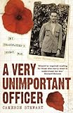 A very unimportant officer : my grandfather's great war