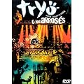 Tryo et Les arros�s : Reggae � coups d'cirque