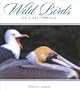 Wild Birds Of California