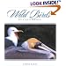 Wild Birds of California