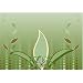 GCube Earth Laptop Skin - GSE-17E