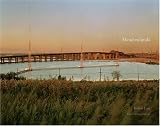 Meadowlands