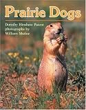 Prairie Dogs (Clarion Nonfiction)