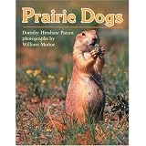 Prairie Dogs (Clarion Nonfiction)