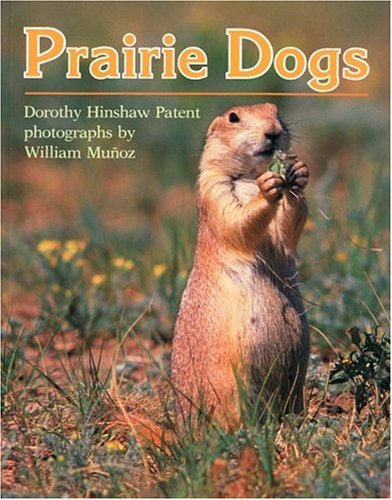 Prairie Dogs (Clarion Nonfiction)