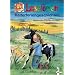 Lesel�wen Reiterferiengeschichten