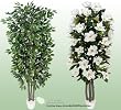 TWO Artificial Trees - 7' Ficus + 6' Magnolia with Real Wood Trunks