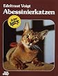 Abessinierkatzen: Kauf, Haltung, Pflege