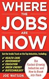Where the Jobs Are Now: The Fastest-Growing Industries and How to Break Into Them