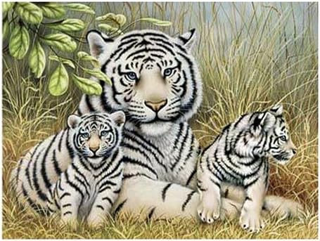 FX Schmidt White Tigers Howard Robinson 500 Piece Jigsaw Puzzle