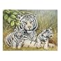 FX Schmidt White Tigers Howard Robinson 500 Piece Jigsaw Puzzle