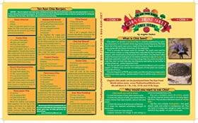 Chia Cheat Sheet Chart, by Angela Stokes