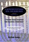 Commentary on Hebrews: Exegetical And Expository (8-13)