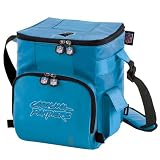 NFL Panthers 18-Can Cooler