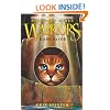 Dark River (Warriors: Power of Three #2)