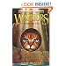 Dark River (Warriors: Power of Three #2)