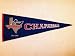 Dallas Chaparalls NBA Harwood Traditions Basketball Pennant