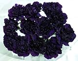 20 Fresh-cut Purple Moonvista Carnations (advance ordering recommended)