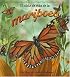 El Ciclo De Vida De La Mariposa/Life cycle of a butterfly (Ciclo De Vida / the Life Cycle)