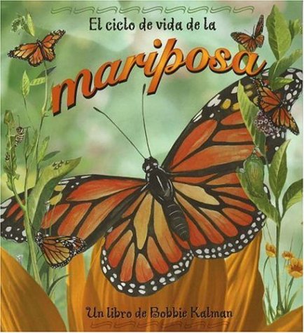 partes de la mariposa