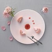美濃焼陶器　神谷幸男の「究極のおもてなしプレート」　雪月花　薄桜　『花』