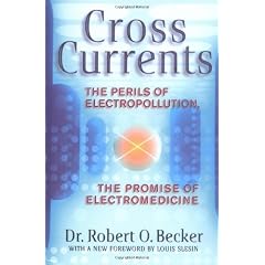 Cross Currents: Perils of Electropollution, the Promise of Electromedicine