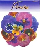 Sisson Imports French Leaves, Pansies, Pack of 100