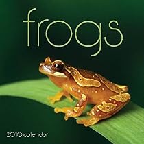 Frogs 2010 Wall Calendar
