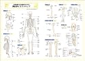 カラー写真でみる!骨折・脱臼・捻挫―画像診断の進め方と整復・固定のコツ (ビジュアル基本手技)