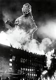 Godzilla (The Criterion Collection) [Blu-ray]