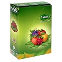 FruitaBu Organic Smooshed Fruit, Smoooshed Raspberry, 0.4-Ounce Bars (Pack of 30)