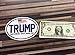 Vipergraphics, Trump in 2016 Oval Bumper Sticker ~ Make America Great Again ~ Vote Donald President Decal