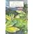 Wide Sargasso Sea (Penguin Twentieth Century Classics)