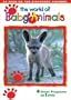 The World of Baby Animals