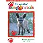 The World of Baby Animals