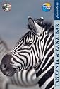 Travellers Tanzania (Travellers Tanzania & Zanziba)