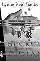 The Secret of the Indian (Indian in the Cupboard)
