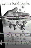 The Secret of the Indian (Indian in the Cupboard)