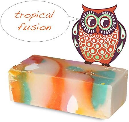 SOAP SAMPLER GIFT SET - Six 2.75 Oz Bars. - All Vegan Ingredients - Skin Health - Eco Friendly - Non Toxic - Cleaner Skin - No Soap Residue - Gift Wrapped - Organic Palm Oil - Bold Aromas