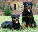 For The Love Of Rottweilers Deluxe 2006 Calendar