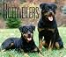 For The Love Of Rottweilers Deluxe 2006 Calendar