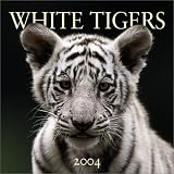 White Tigers 2004 Calendar
