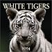 Book White Tigers 2004 Calendar