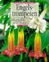 Brugmansia: (Datura) Engelstrompeten (German Edition)