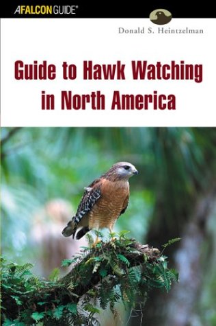 Birding